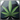 Reefer Poker